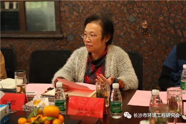 湖南保安服務(wù),墻外高空清洗服務(wù),湖南保利天創(chuàng)物業(yè)發(fā)展有限公司