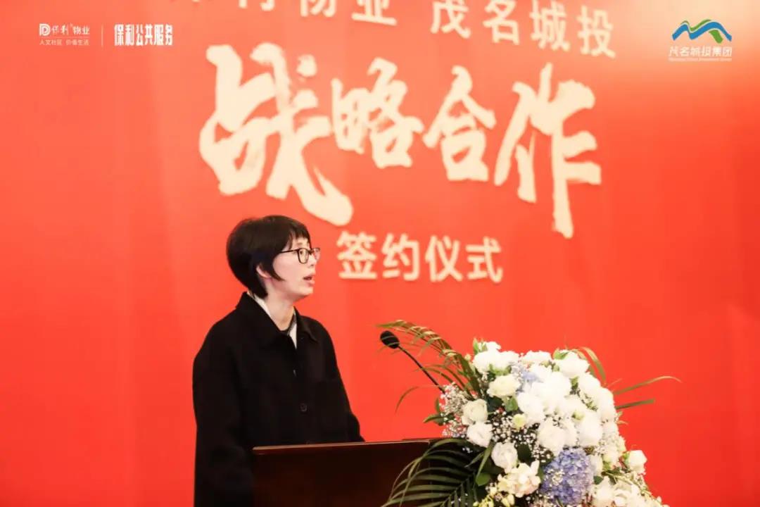 湖南保安服務,墻外高空清洗服務,湖南保利天創物業發展有限公司