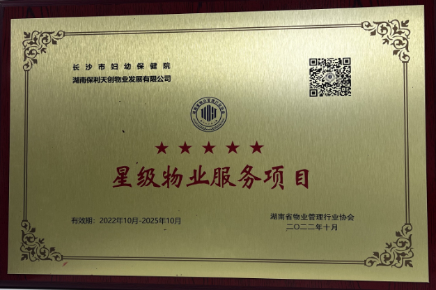 湖南保安服務,墻外高空清洗服務,湖南保利天創物業發展有限公司