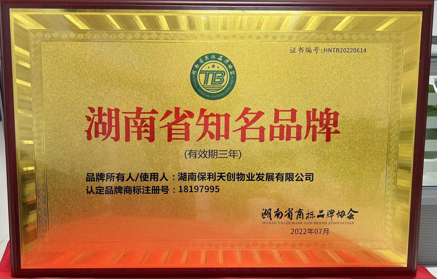 湖南保安服務,墻外高空清洗服務,湖南保利天創物業發展有限公司
