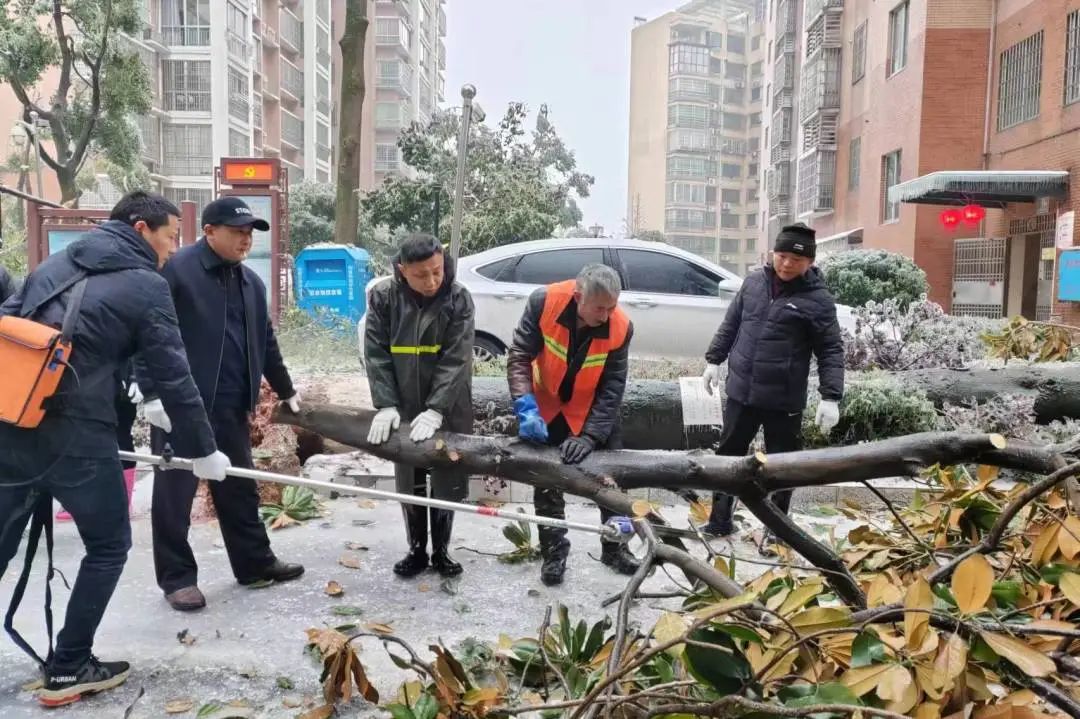 湖南保安服務,墻外高空清洗服務,湖南保利天創(chuàng)物業(yè)發(fā)展有限公司