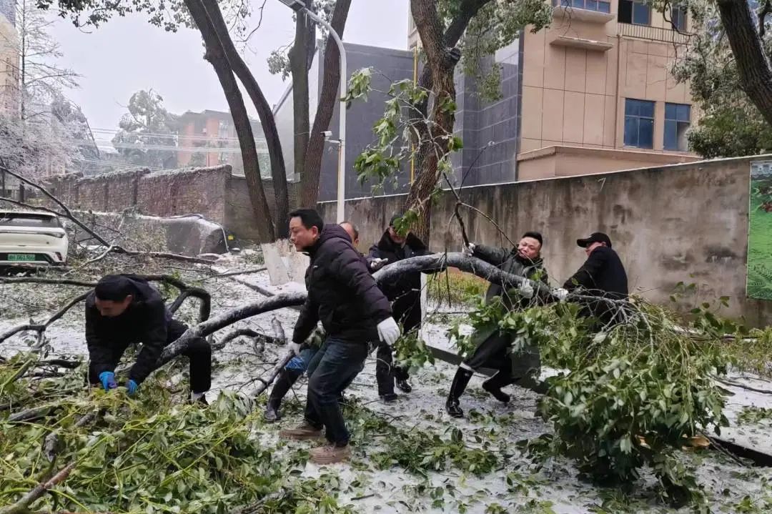 湖南保安服務,墻外高空清洗服務,湖南保利天創(chuàng)物業(yè)發(fā)展有限公司