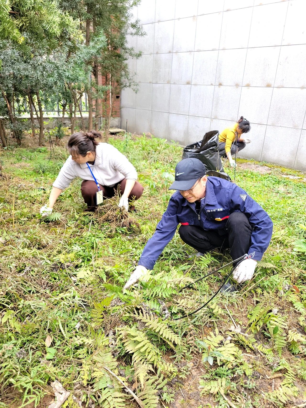 湖南保安服務(wù),墻外高空清洗服務(wù),湖南保利天創(chuàng)物業(yè)發(fā)展有限公司