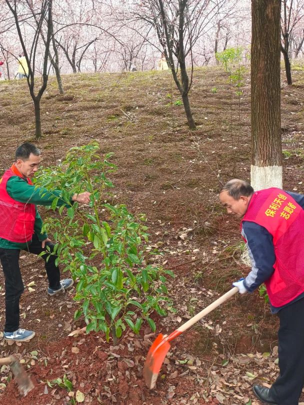 湖南保安服務(wù),墻外高空清洗服務(wù),湖南保利天創(chuàng)物業(yè)發(fā)展有限公司