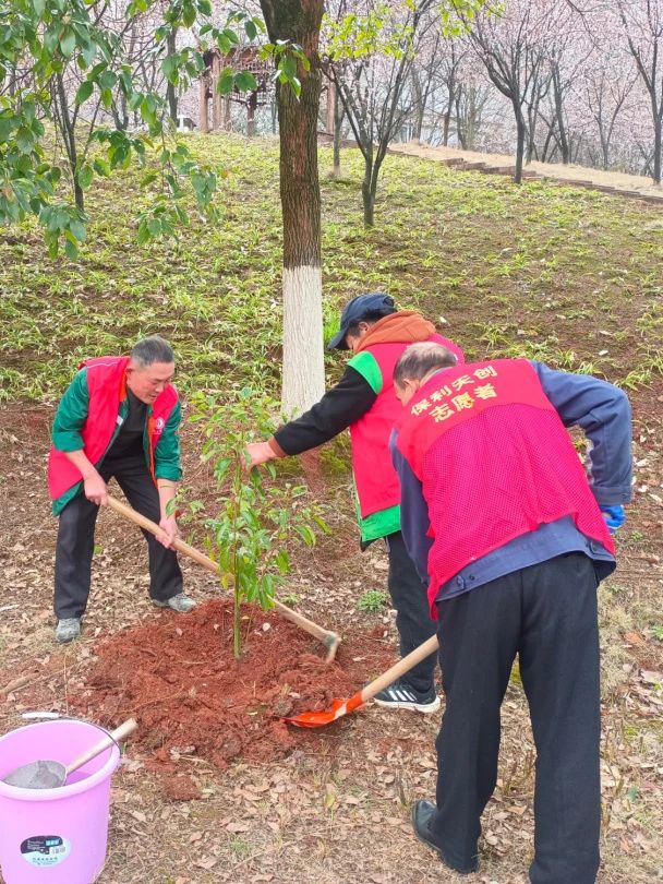 湖南保安服務(wù),墻外高空清洗服務(wù),湖南保利天創(chuàng)物業(yè)發(fā)展有限公司
