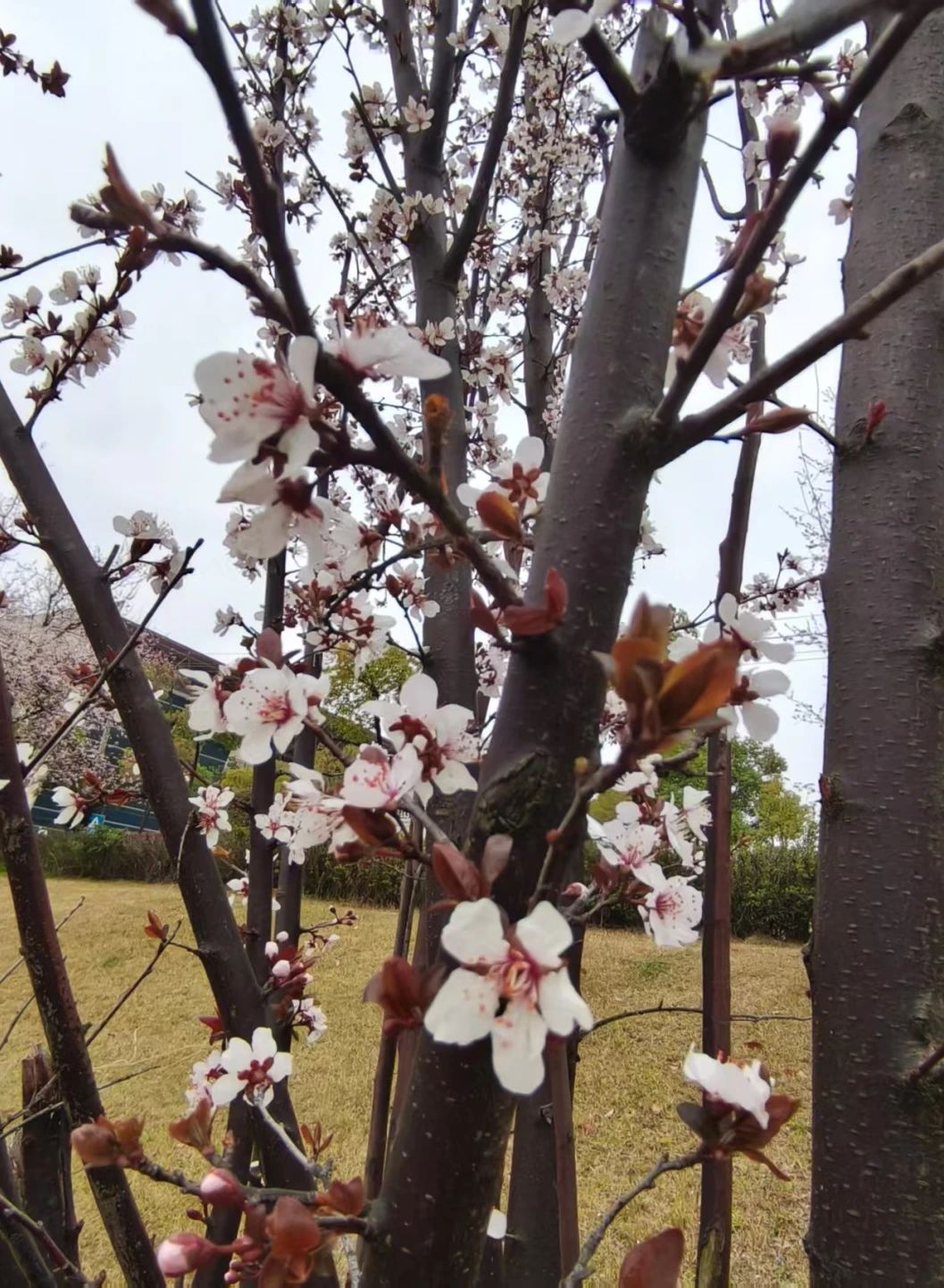 湖南保安服務(wù),墻外高空清洗服務(wù),湖南保利天創(chuàng)物業(yè)發(fā)展有限公司