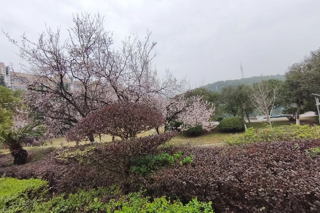 湖南保安服務(wù),墻外高空清洗服務(wù),湖南保利天創(chuàng)物業(yè)發(fā)展有限公司