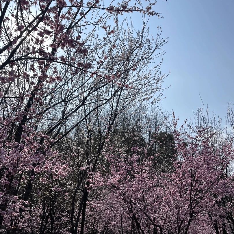 湖南保安服務(wù),墻外高空清洗服務(wù),湖南保利天創(chuàng)物業(yè)發(fā)展有限公司