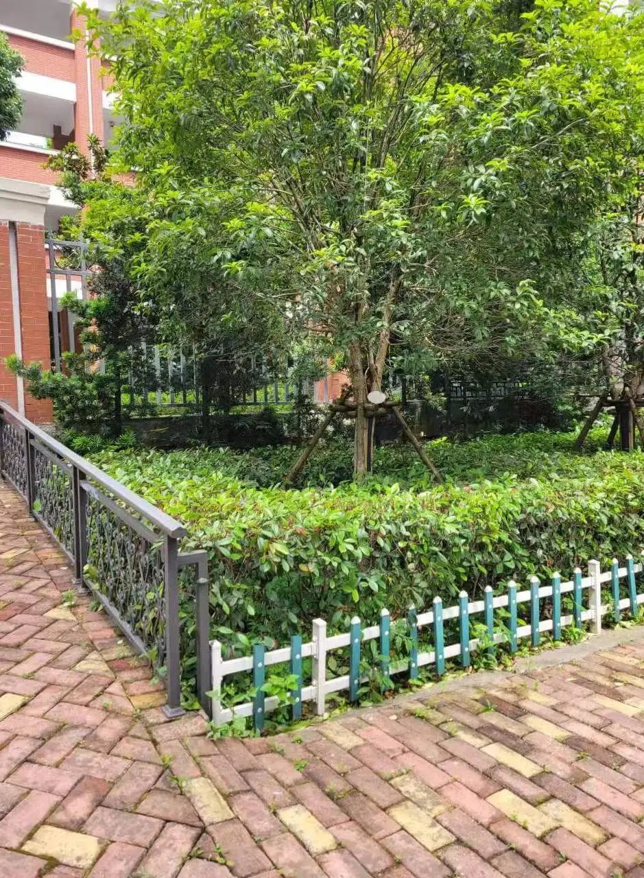 湖南保安服務(wù),墻外高空清洗服務(wù),湖南保利天創(chuàng)物業(yè)發(fā)展有限公司