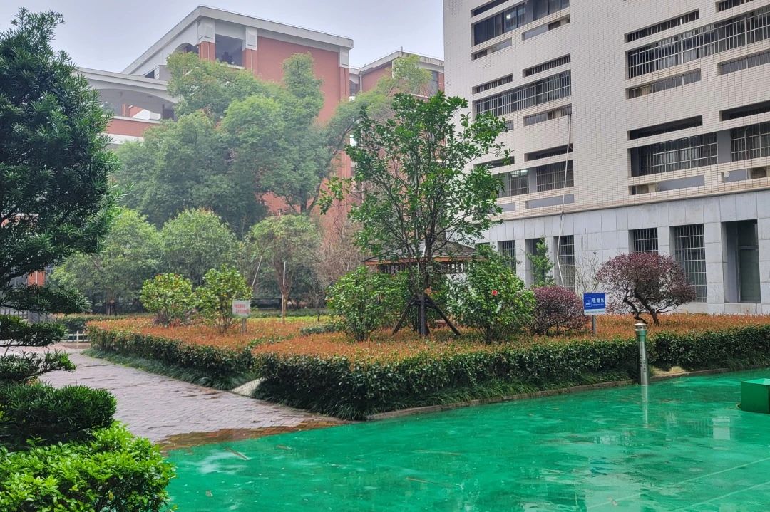 湖南保安服務(wù),墻外高空清洗服務(wù),湖南保利天創(chuàng)物業(yè)發(fā)展有限公司