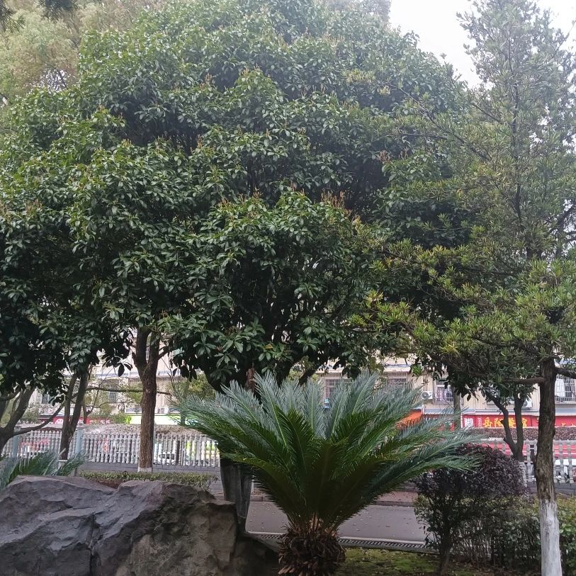 湖南保安服務(wù),墻外高空清洗服務(wù),湖南保利天創(chuàng)物業(yè)發(fā)展有限公司