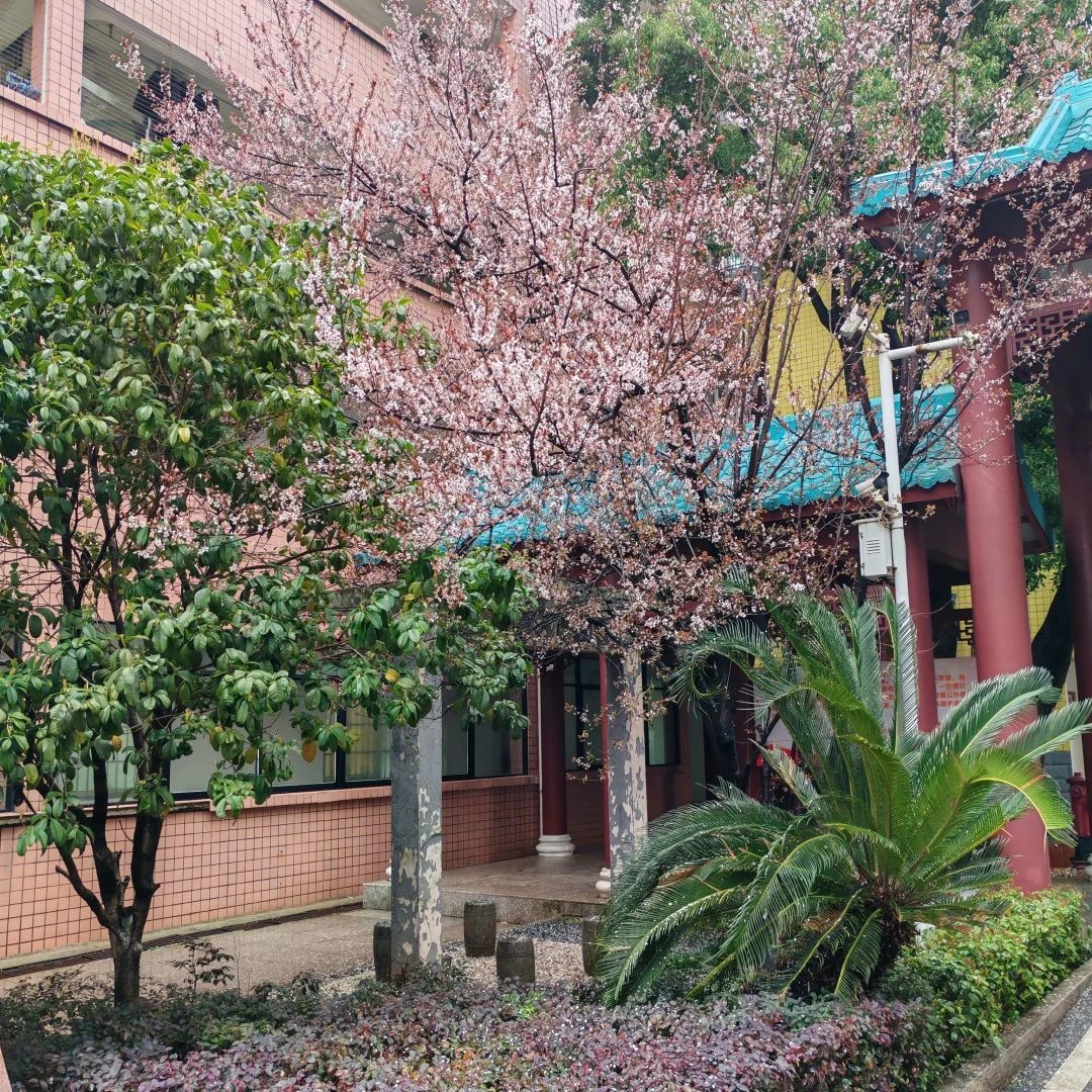 湖南保安服務(wù),墻外高空清洗服務(wù),湖南保利天創(chuàng)物業(yè)發(fā)展有限公司