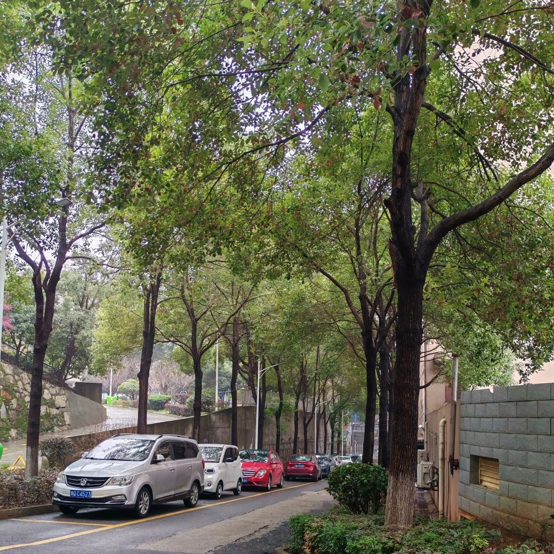 湖南保安服務(wù),墻外高空清洗服務(wù),湖南保利天創(chuàng)物業(yè)發(fā)展有限公司